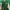Casual Leather Jacket Pria White Green