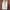 Charles and Keith Luxury Handbag Wanita white photo 2