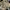 Quiksilver Minimalist Casual Short Pria tan khaki photo 1
