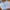 Y2K Lolita Crop top Wanita blue photo 2