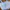 Y2K Lolita Crop Top Wanita Blue
