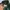 Streetwear Sportswear Casual shirt Pria gold green photo 5