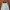 Coquette Casual Babydoll dress Wanita blue photo 3