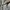 Vintage Y2K Polo shirt Pria white gray photo 4