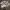 Merrell Avant Garde Casual Pria gray photo 1