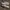 Merrell Avant Garde Casual Pria gray photo 5