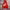 Nike Casual Hoody Pria red photo 1