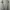 Minimalist Wanita gray photo 1