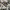 VANS Streetwear Casual Sneakers Pria black photo 3