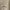 Champion Vintage Streetwear Sweatshirt Pria tan cream photo 5
