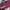 Thrasher Streetwear T-shirt Pria burgundy photo 3