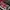 Luxury Casual Sweater Pria multicolor photo 5