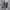 Calvin Klein Streetwear Jeans Pria navy photo 1