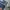 Calvin Klein Streetwear Jeans Pria navy photo 5