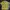 Sun Surf Vintage Casual Casual Shirt Pria Yellow