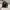 Dior Luxury Bags & purse Wanita black photo 2