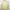 Streetwear Casual Crop top Wanita yellow photo 1