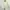 Japanese brand Lolita Casual T-shirt Kids multicolor photo 1