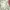 Japanese brand Lolita Casual T-shirt Kids multicolor photo 4