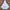 Vintage Y2K Sweatshirt Pria white photo 4