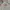Supreme Streetwear Sportswear Sweater Pria red gray photo 2