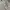 Nike Streetwear Sportswear Sweater Pria white gray photo 3