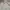 Nike Streetwear Sportswear Sweater Pria white gray photo 2