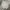 Nike Streetwear Sportswear Sweater Pria white gray photo 1