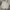 Nike Streetwear Sportswear Sweater Pria White Gray