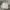 Pancoat Vintage Streetwear Hoody Pria gray photo 1