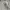 Pancoat Vintage Streetwear Hoody Pria gray photo 3