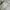 Streetwear Casual Bomber jacket Pria white photo 7