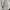 National Geographic Casual Short Pria cream photo 7