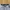 National Geographic Casual Short Pria cream photo 4