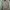 Pakaian Nasional Windbreaker Pria gray photo 1