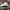 Nike Sportswear Casual Hat Pria white photo 2