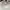 Adidas Sportswear Hat Pria white photo 4