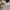 Adidas Sportswear Hat Pria white photo 6