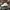 Adidas Sportswear Hat Pria white photo 2