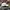 Adidas Sportswear Hat Pria white photo 5