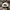 Adidas Sportswear Hat Pria white photo 3