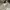 Adidas Sportswear Hat Pria white photo 6