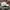 Reebok Sportswear Hat Pria white photo 4