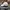 Nike Sportswear Hat Pria white photo 2