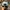 Daks Y2K Sportswear Hat Pria multicolor photo 3
