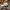 Daks Y2K Sportswear Hat Pria multicolor photo 2
