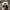 Sportswear Hat Pria white black photo 3