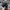 Sportswear Hat Pria navy blue photo 3
