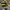 Sportswear Hat Pria black yellow photo 4