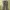 Banana Republic Casual Casual Pants Pria Cream